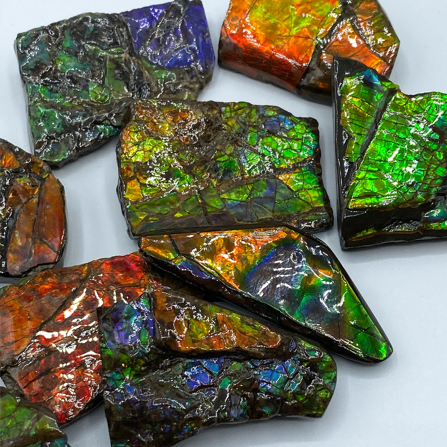 Rainbow Fossil Ammolite - Gem Quality Ammonite Fossil Fragment - Image 7