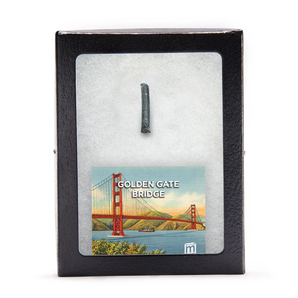 Golden Gate Bridge Suspender Rope - Image 3