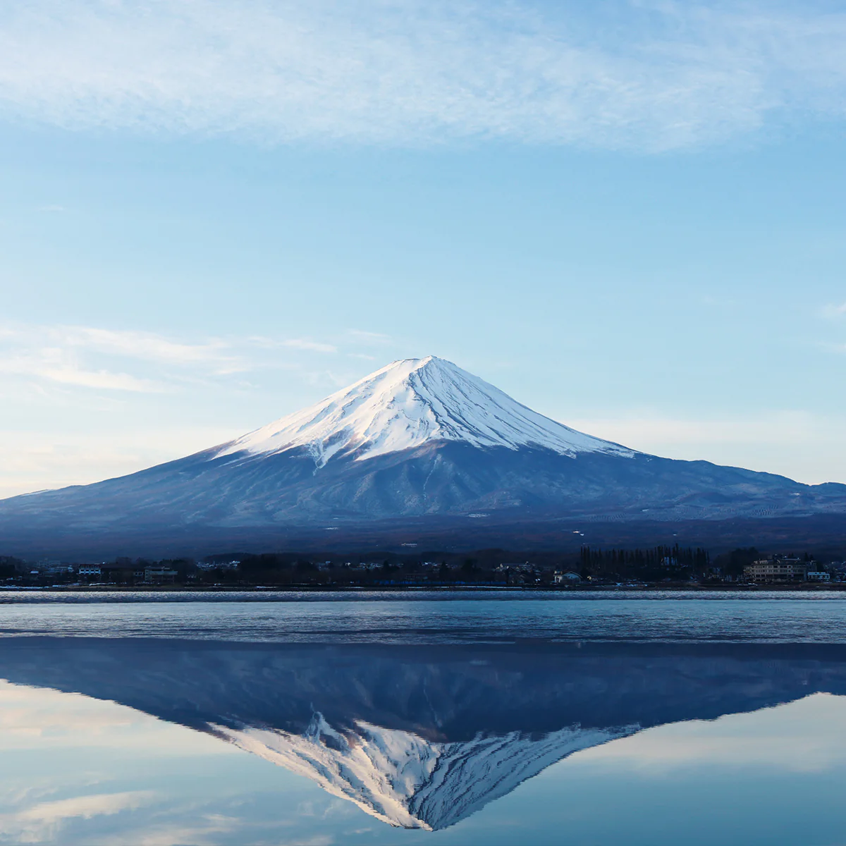 Mount Fuji Lava - Image 4
